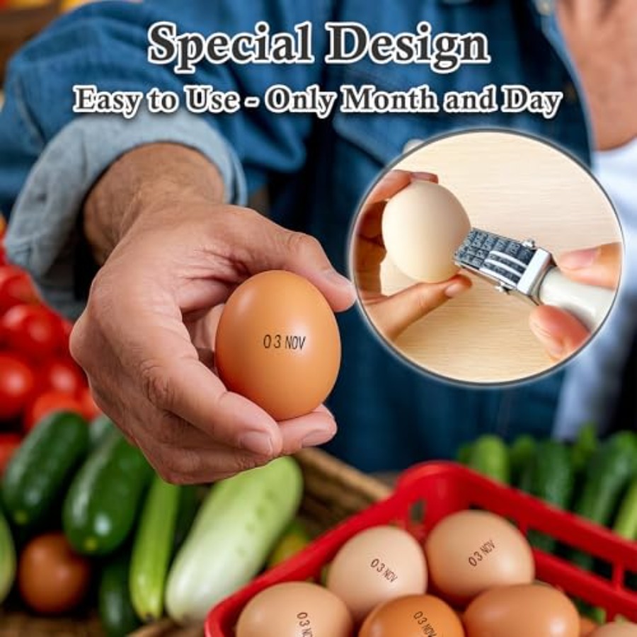 Egg Date Stamp Kit with Ink Pa - Rubber Date Stamp ulasan dan harga